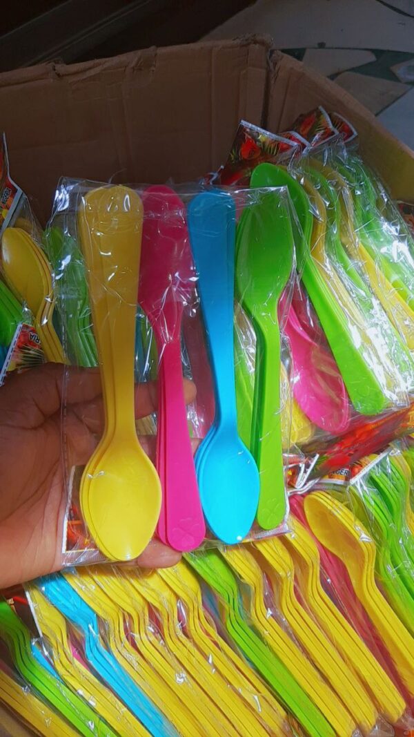 12PCS COLOURED PLASTIC SPOON